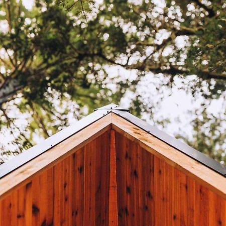 The Treeframe Cabin Villa Index Buitenkant foto