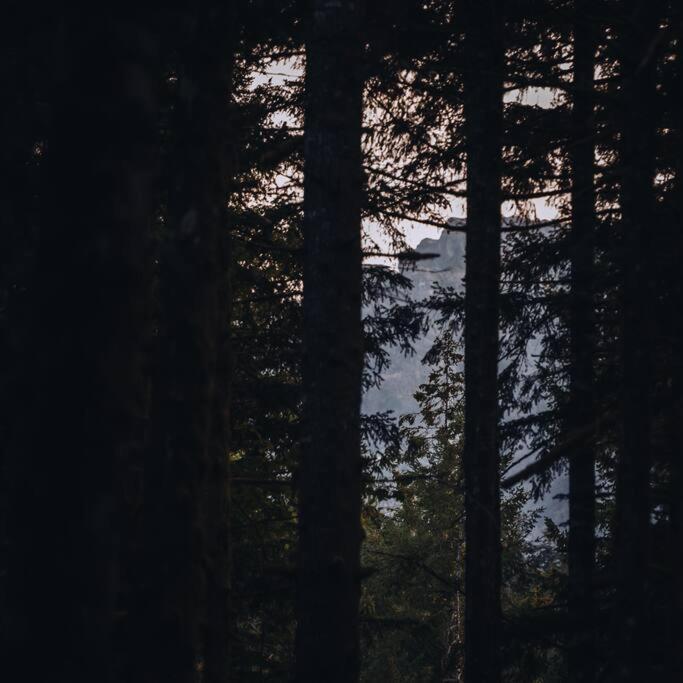 The Treeframe Cabin Villa Index Buitenkant foto