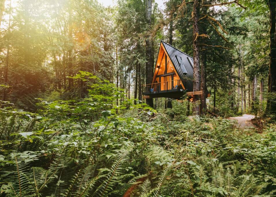The Treeframe Cabin Villa Index Buitenkant foto
